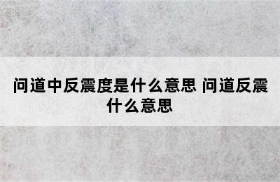 问道中反震度是什么意思 问道反震什么意思